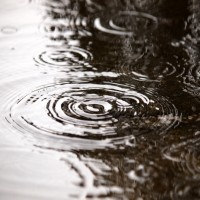 9d86a150e74174715927b15e8c0005f1_s