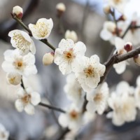 eb5eab8eae46e50d24cb4b117f5114a8_s